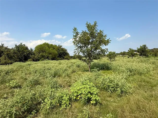 a view of an outdoor space