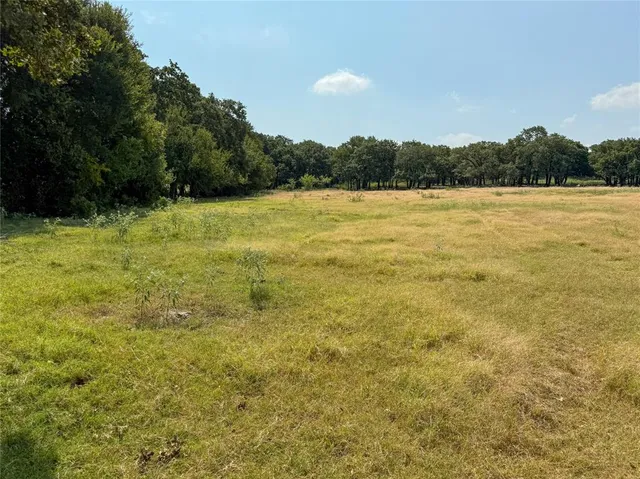 a view of outdoor space with trees
