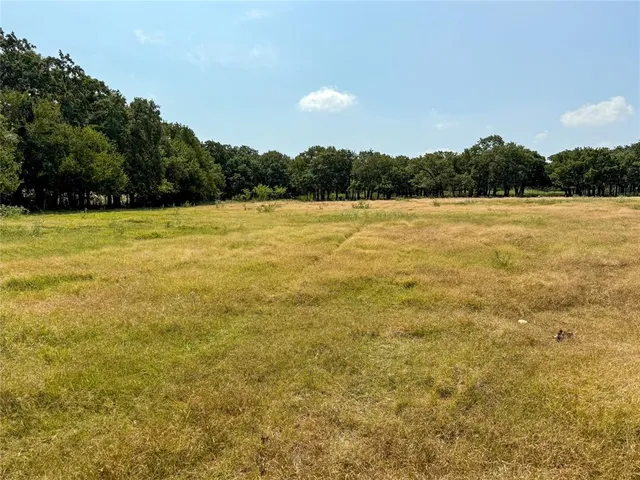 a view of yard with green space