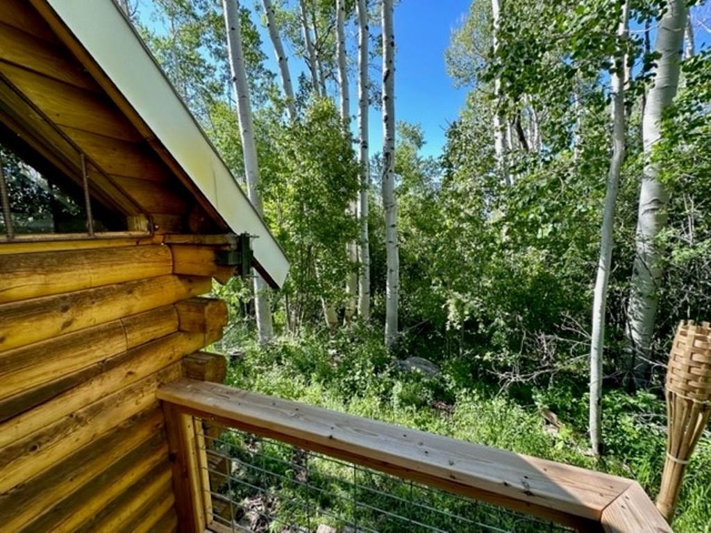 67792 Ferndell Road Collbran, CO 81624 - Photo 25 of 40 Gallery Image 25