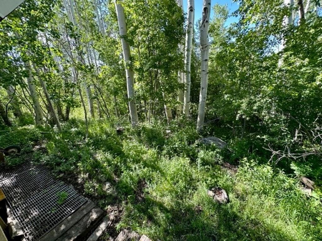 67792 Ferndell Road Collbran, CO 81624 - Photo 27 of 40 Gallery Image 27