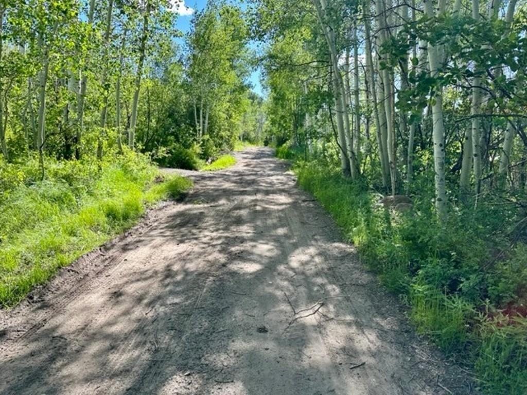 67792 Ferndell Road Collbran, CO 81624 - Photo 29 of 40 Gallery Image 29