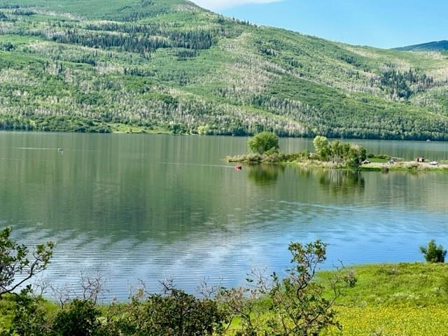 67792 Ferndell Road Collbran, CO 81624 - Photo 33 of 40 Gallery Image 33