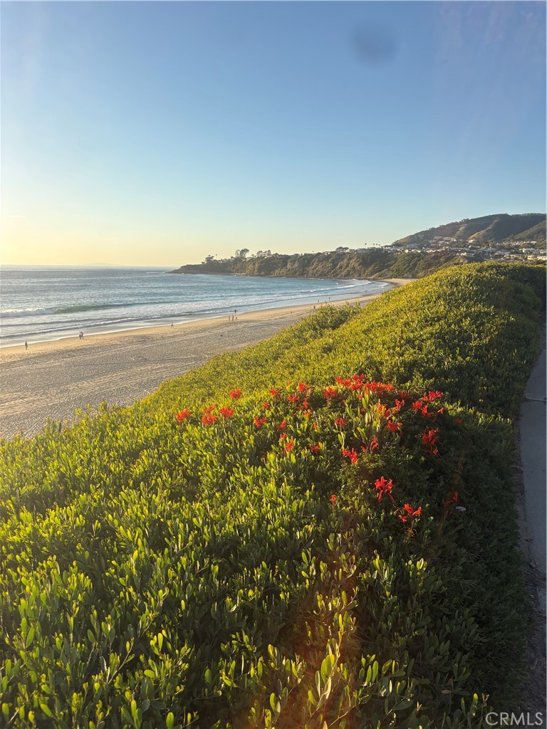23281 Atlantis Way Dana Point, CA 92629 - Photo 76 of 81 Monarch Beach