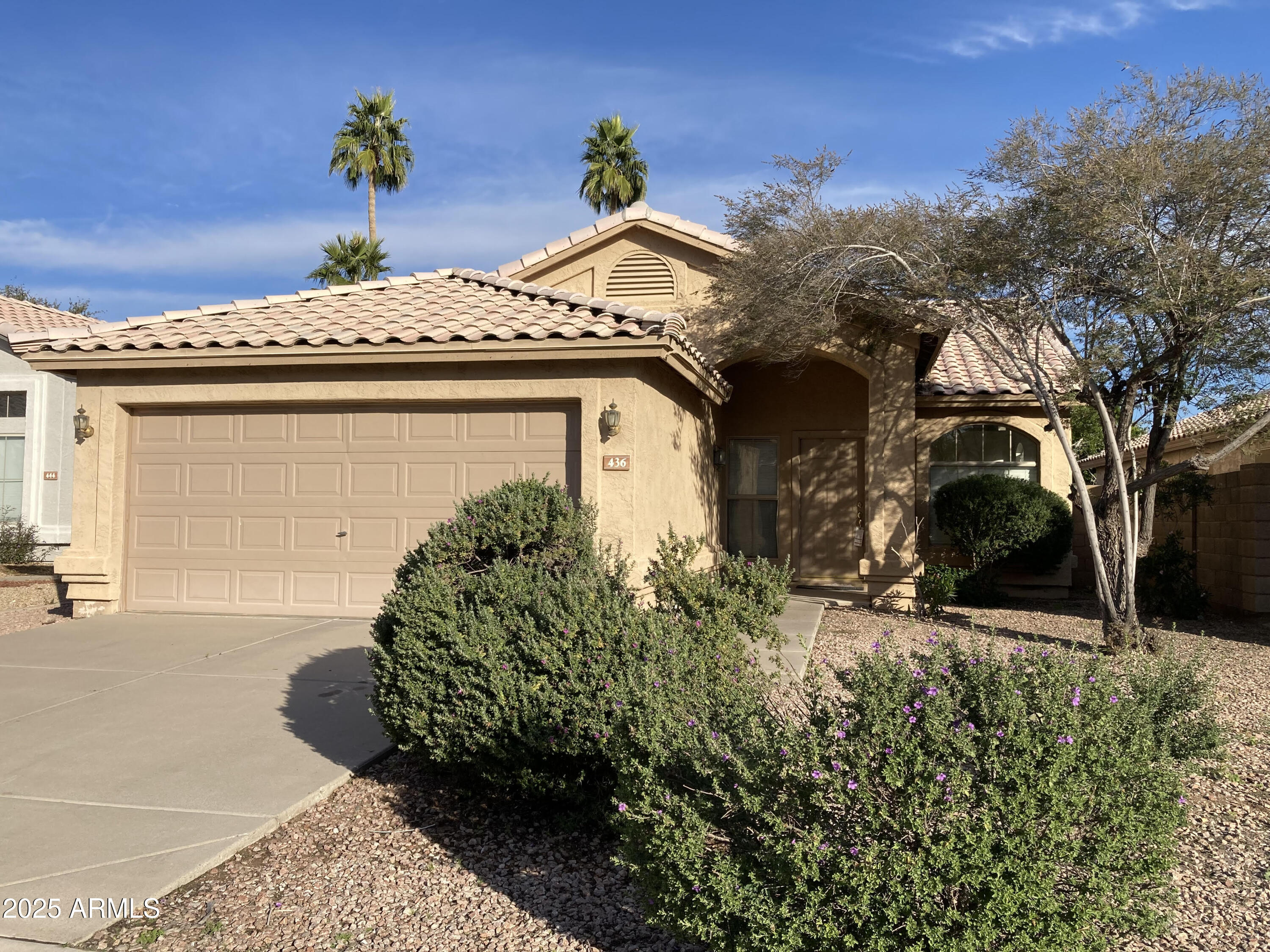 436 West Bolero Drive Tempe, AZ 85284 - Photo 11 of 11 a view of a house with a yard and plants