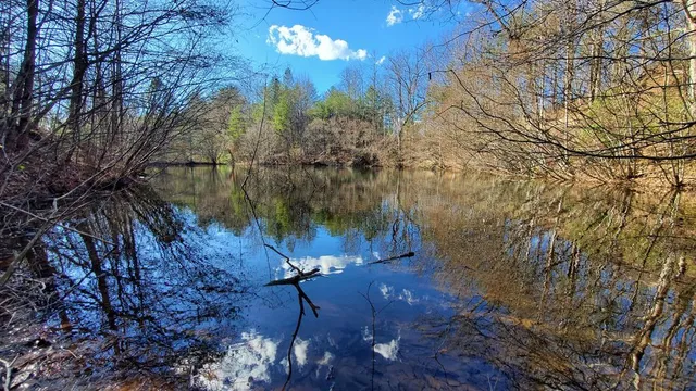 $1,800,000 | 51-acre 51-acre Mountain Cove Way, Cherry Log, GA 30522