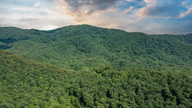 $1,800,000 | 51-acre 51-acre Mountain Cove Way, Cherry Log, GA 30522