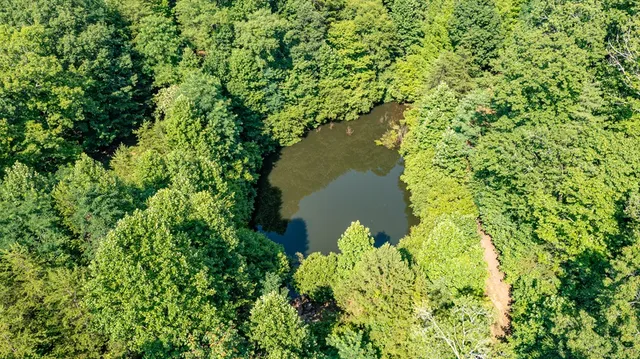 $1,800,000 | 51-acre 51-acre Mountain Cove Way, Cherry Log, GA 30522