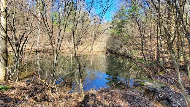 $1,800,000 | 51-acre 51-acre Mountain Cove Way, Cherry Log, GA 30522