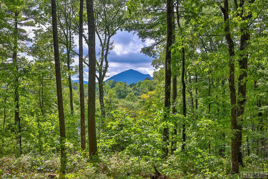 108 Uplands Road Brevard, NC 28712 - Photo 1 of 6 Gallery Image 1