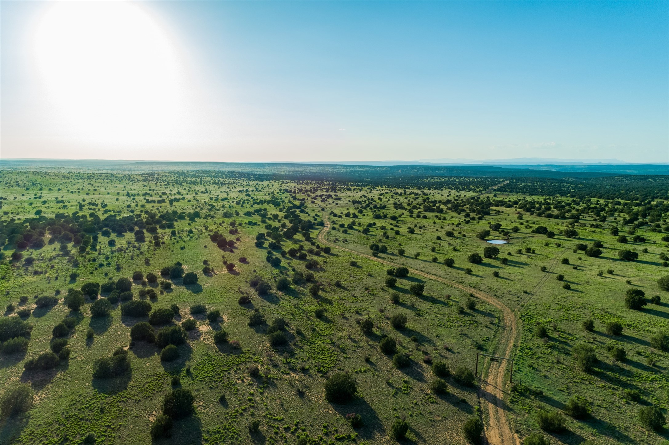 4221 Palo Amarillo Road Santa Rosa, NM 88435 - Photo 70 of 78