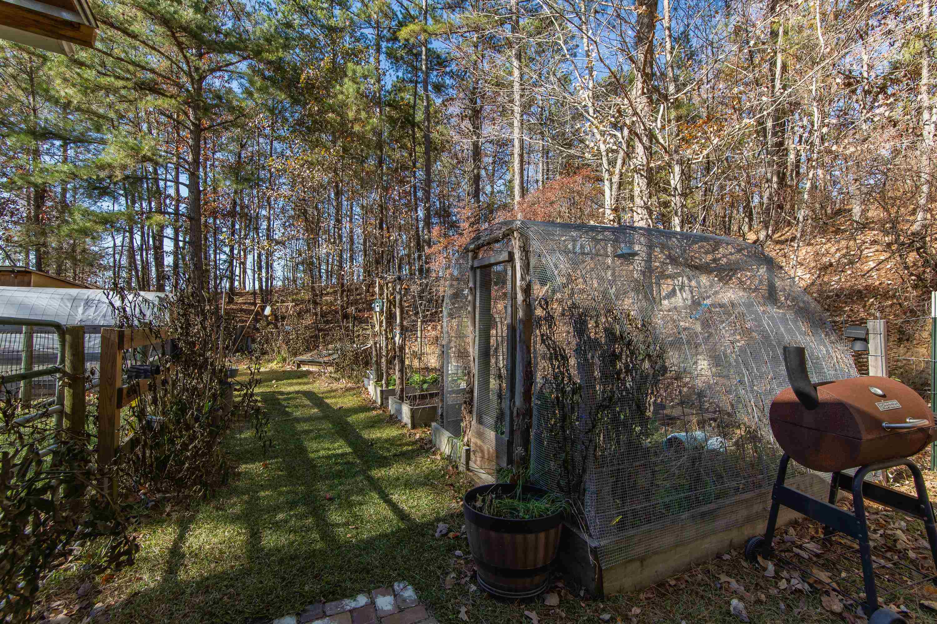 3001 Hamilton Road Ashland, MS 38603 - Photo 24 of 39 View of yard with an outdoor structure