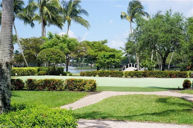 a view of a garden with plants