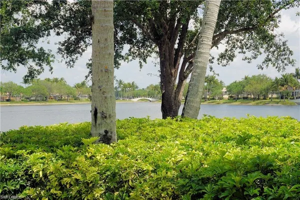 a view of a garden with trees