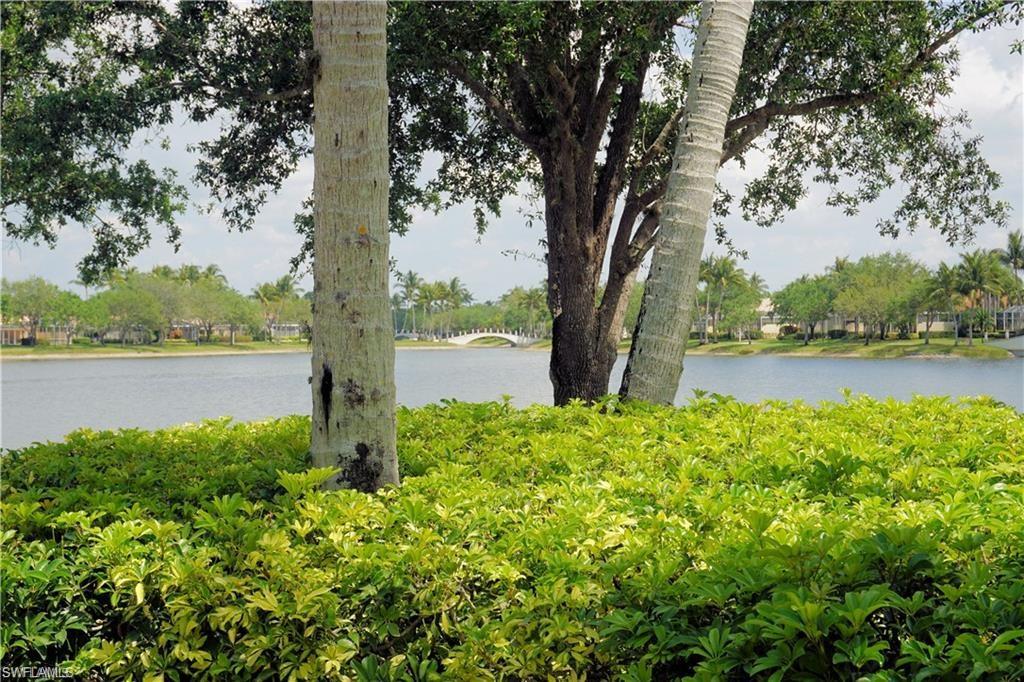 4194 St George Lane Naples, FL 34119 - Photo 28 of 29 a view of a garden with trees