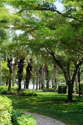 a big yard with lots of green space and trees