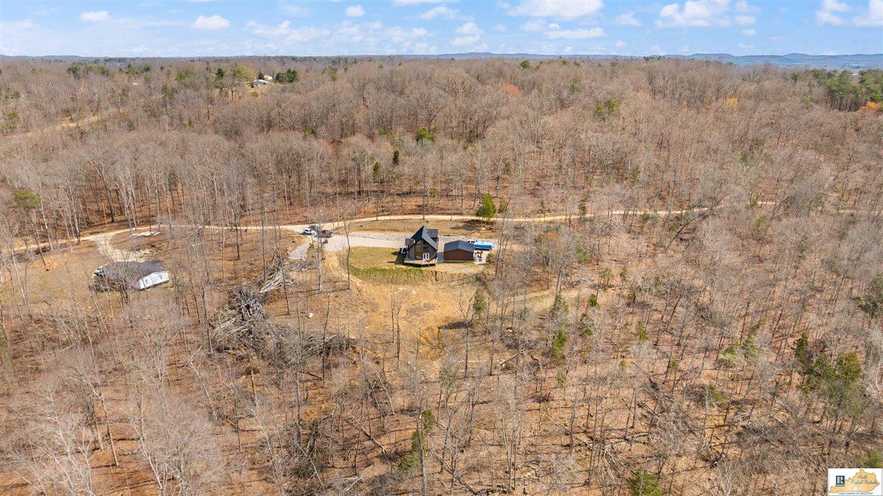945 Ted Logsdon Road Clarkson, KY 42726 - Photo 72 of 95 Gallery Image 72