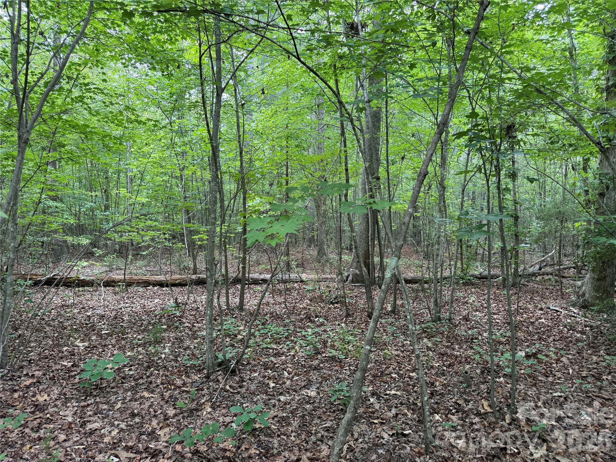 0 Herbert Faucette Road Bullock, NC 27507 - Photo 18 of 40