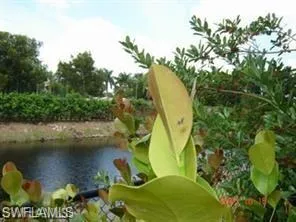 a view of a lake in a forest