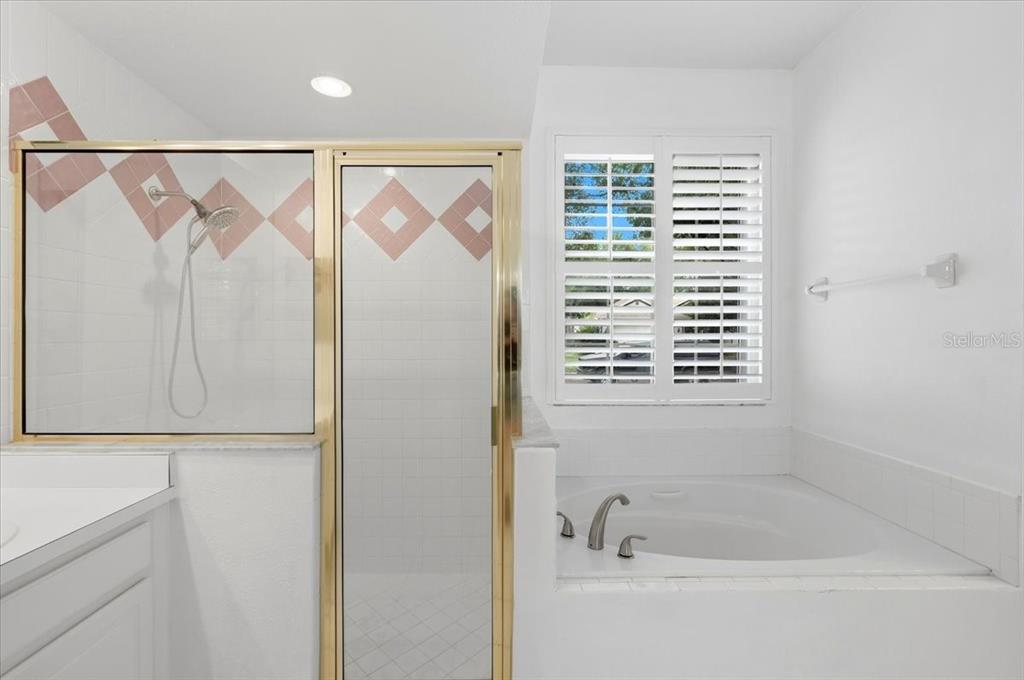 2214 Longmore Circle Valrico, FL 33596 - Photo 30 of 61 a bathroom with a bathtub and a shower