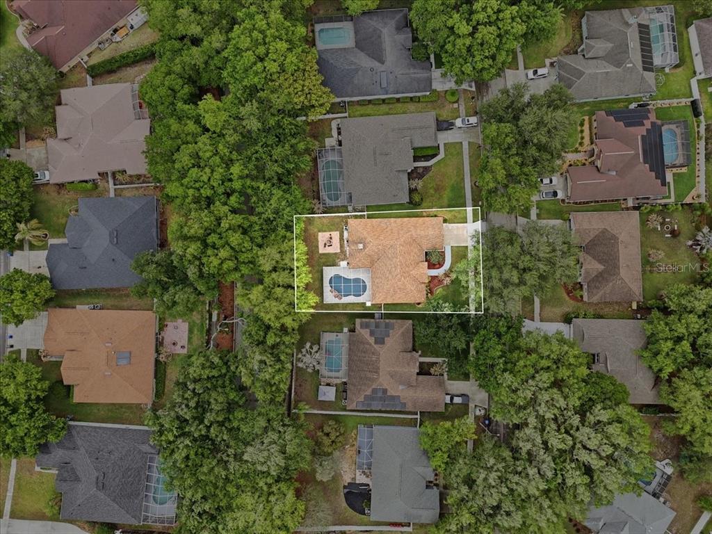 2214 Longmore Circle Valrico, FL 33596 - Photo 61 of 61