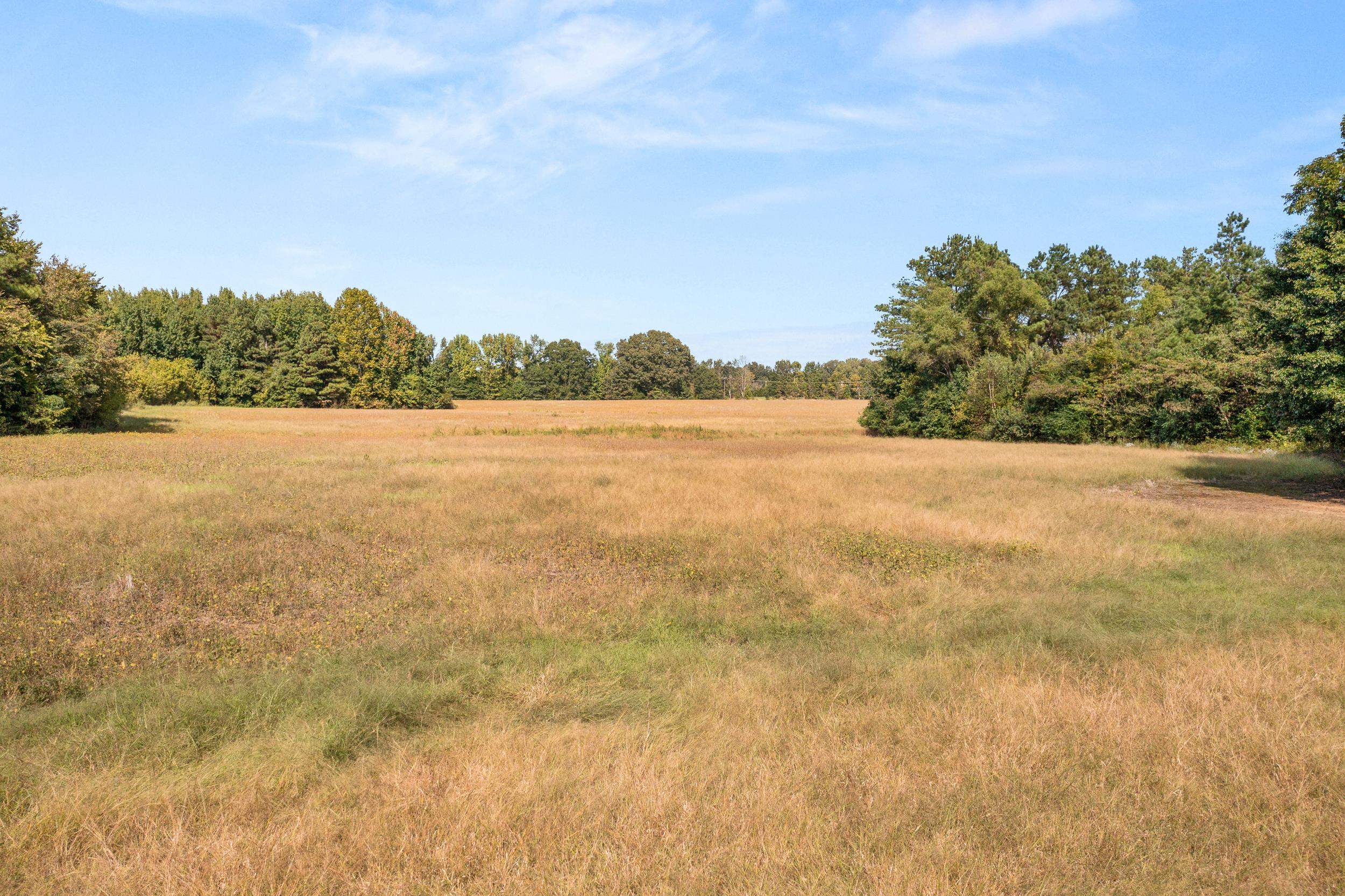 View of local wilderness with rural landscape