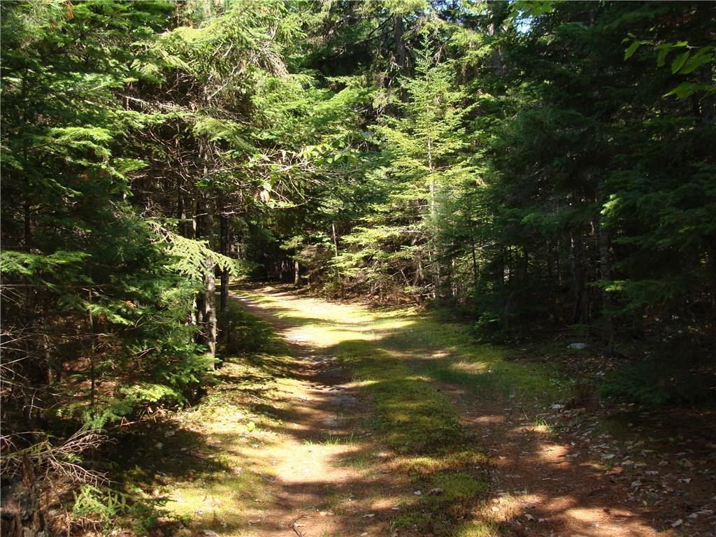 0 Lyons Den Road Northfield, ME 04654 - Photo 2 of 17 Photo