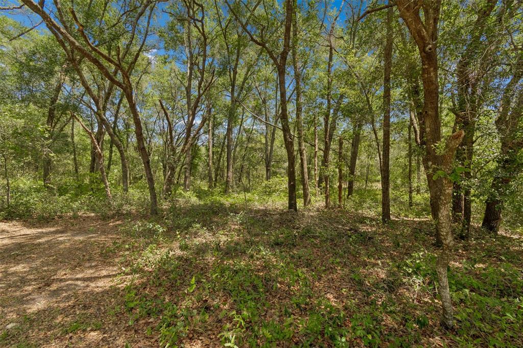 3757 East Side Court Inverness, FL 34453 - Photo 32 of 41