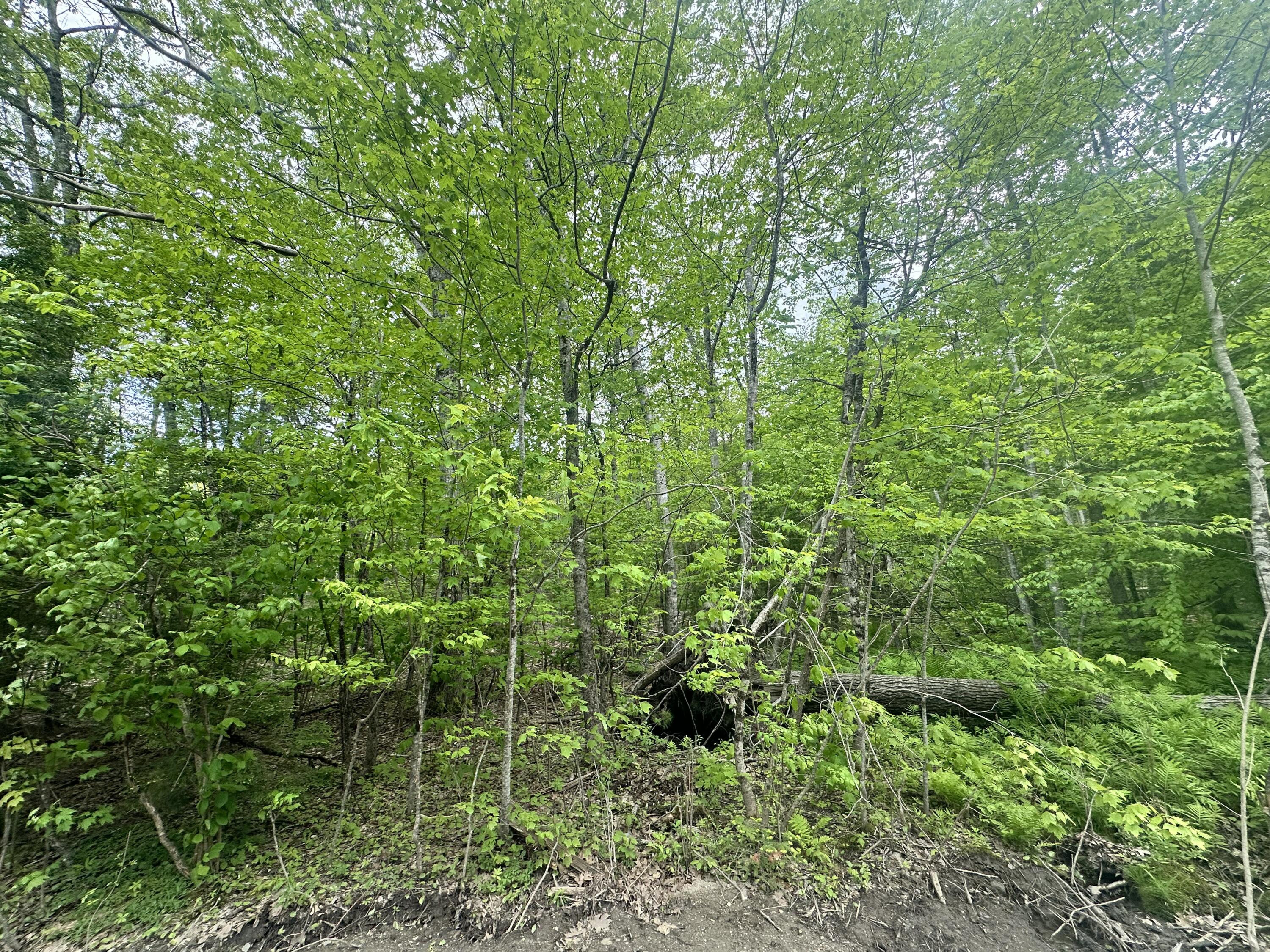 Lot #15 Greenacre Road Lincolnville, ME 04849 - Photo 18 of 23