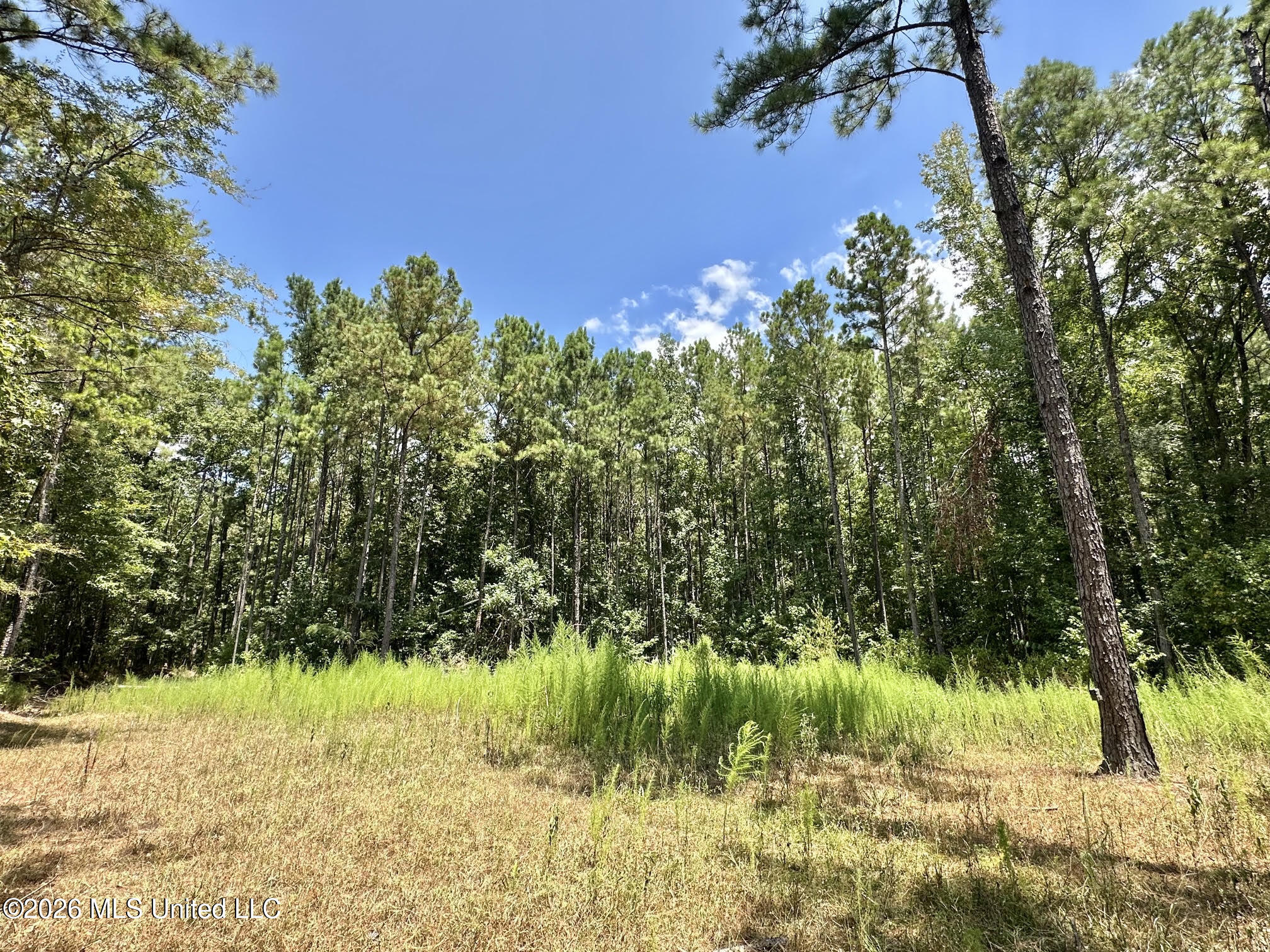 84 Highway 84 Roxie, MS 39661 - Photo 19 of 33 22