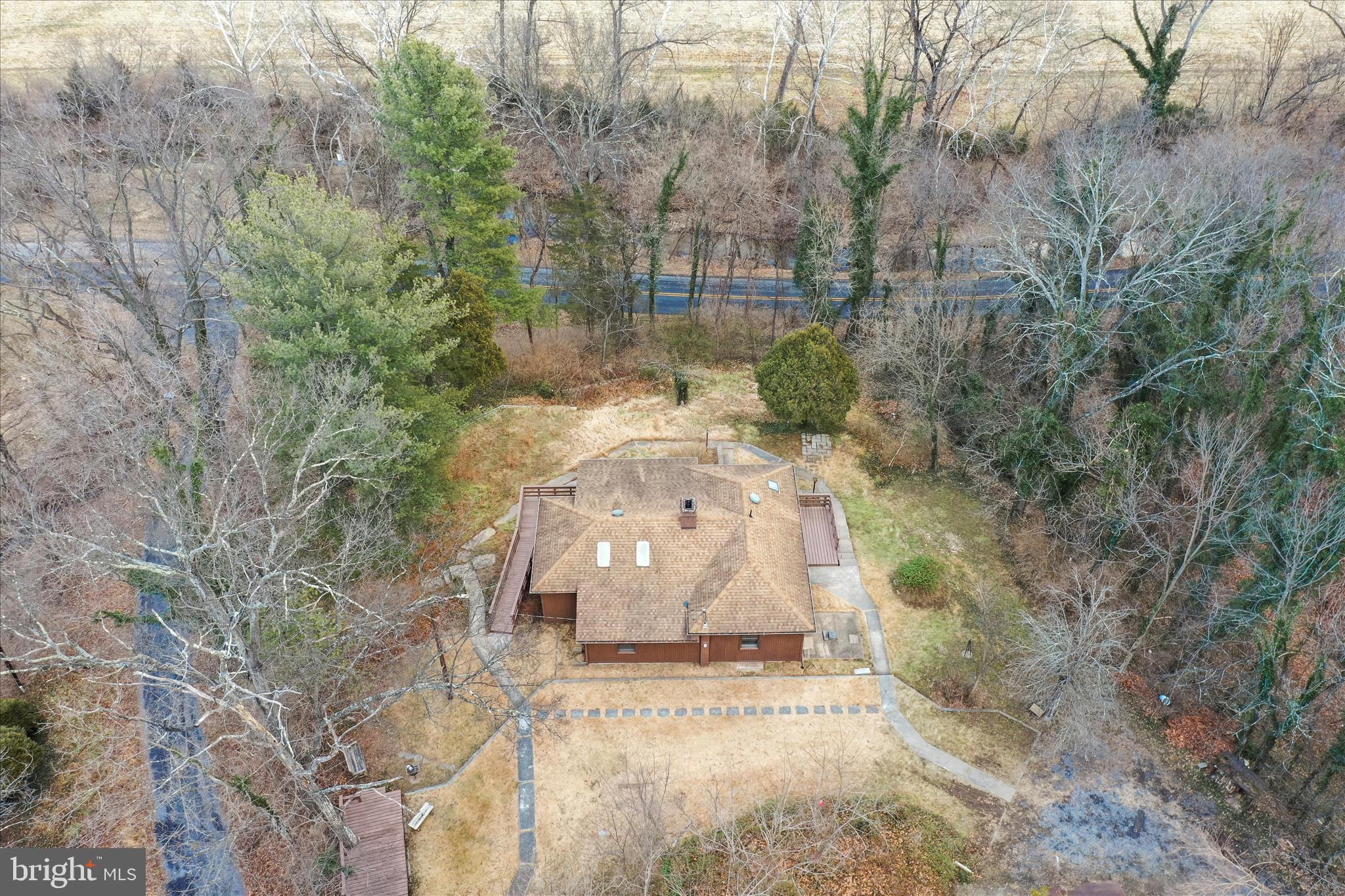 84 Funk Road Strasburg, VA 22657 - Photo 37 of 45 a view of a yard in a forest