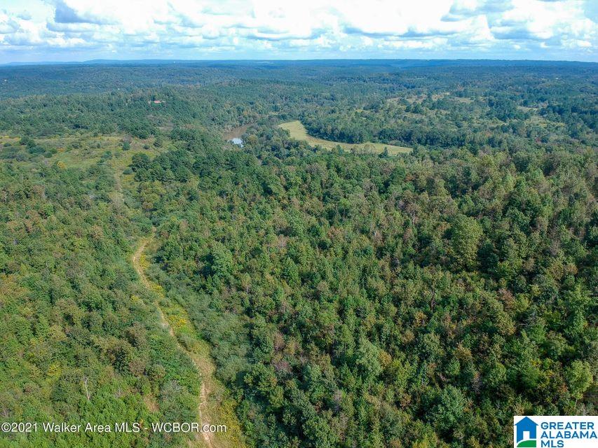 0 Burton Bend Road Jasper, AL 35504 - Photo 1 of 3