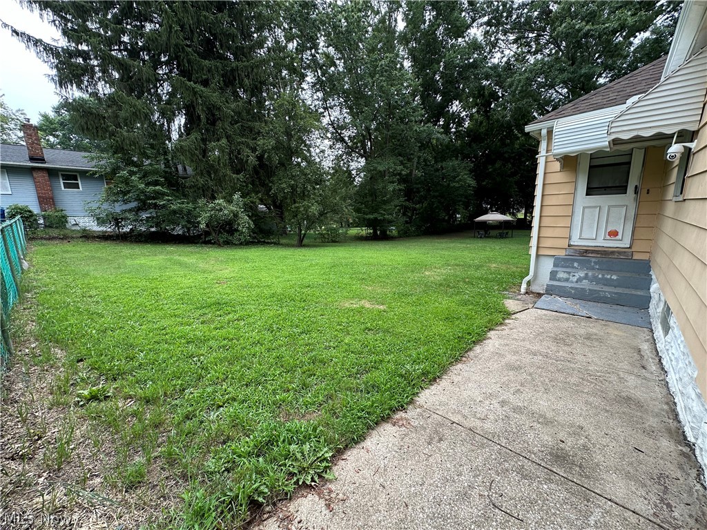 1086 Bruce Road Akron, OH 44306 - Photo 11 of 45 side door to mudroom. Two pear trees in the distance