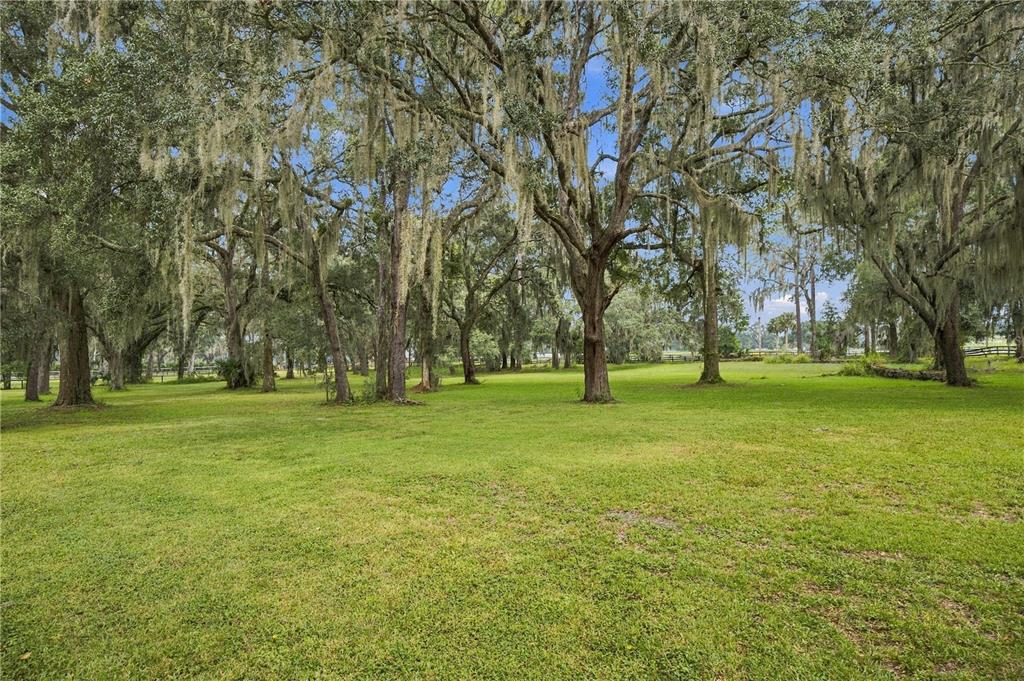 701 Southeast 123rd Street Road Ocala, FL 34480 - Photo 41 of 43 Gallery Image 41