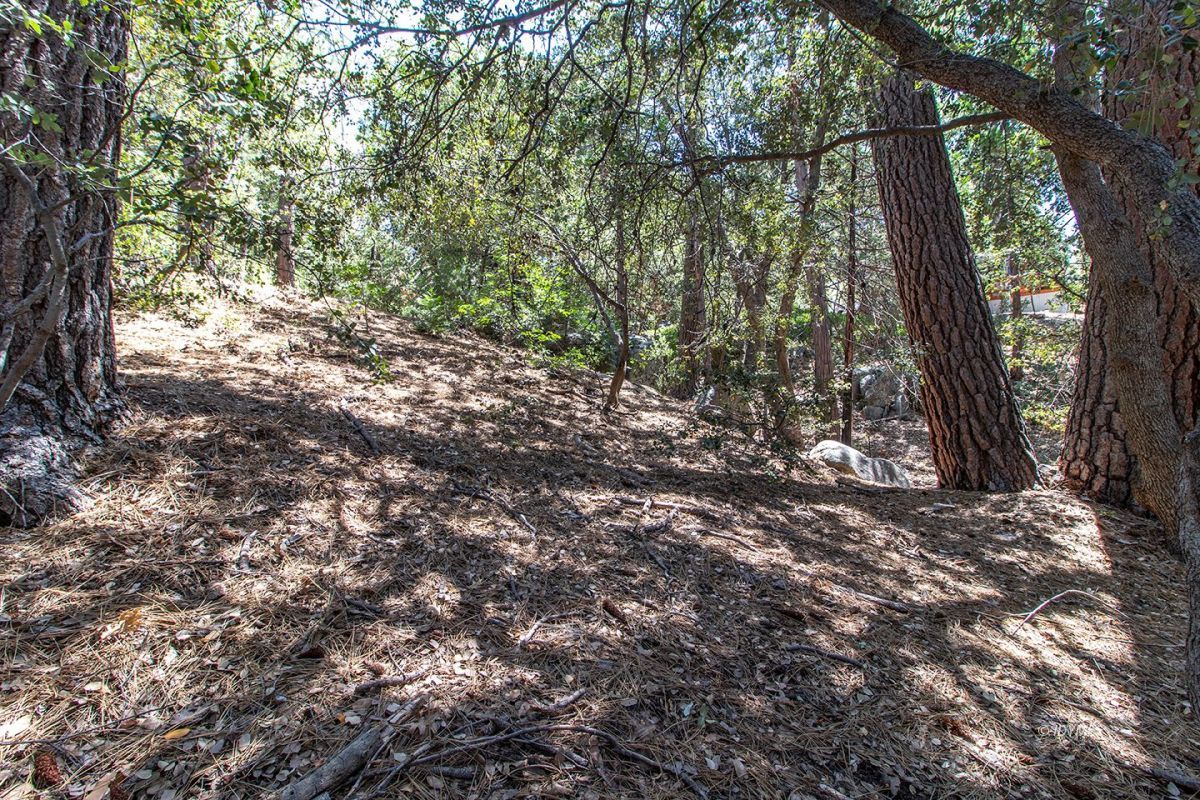 25350 Point Of Rocks Drive Idyllwild, CA 92549 - Photo 54 of 56 Natural beauty