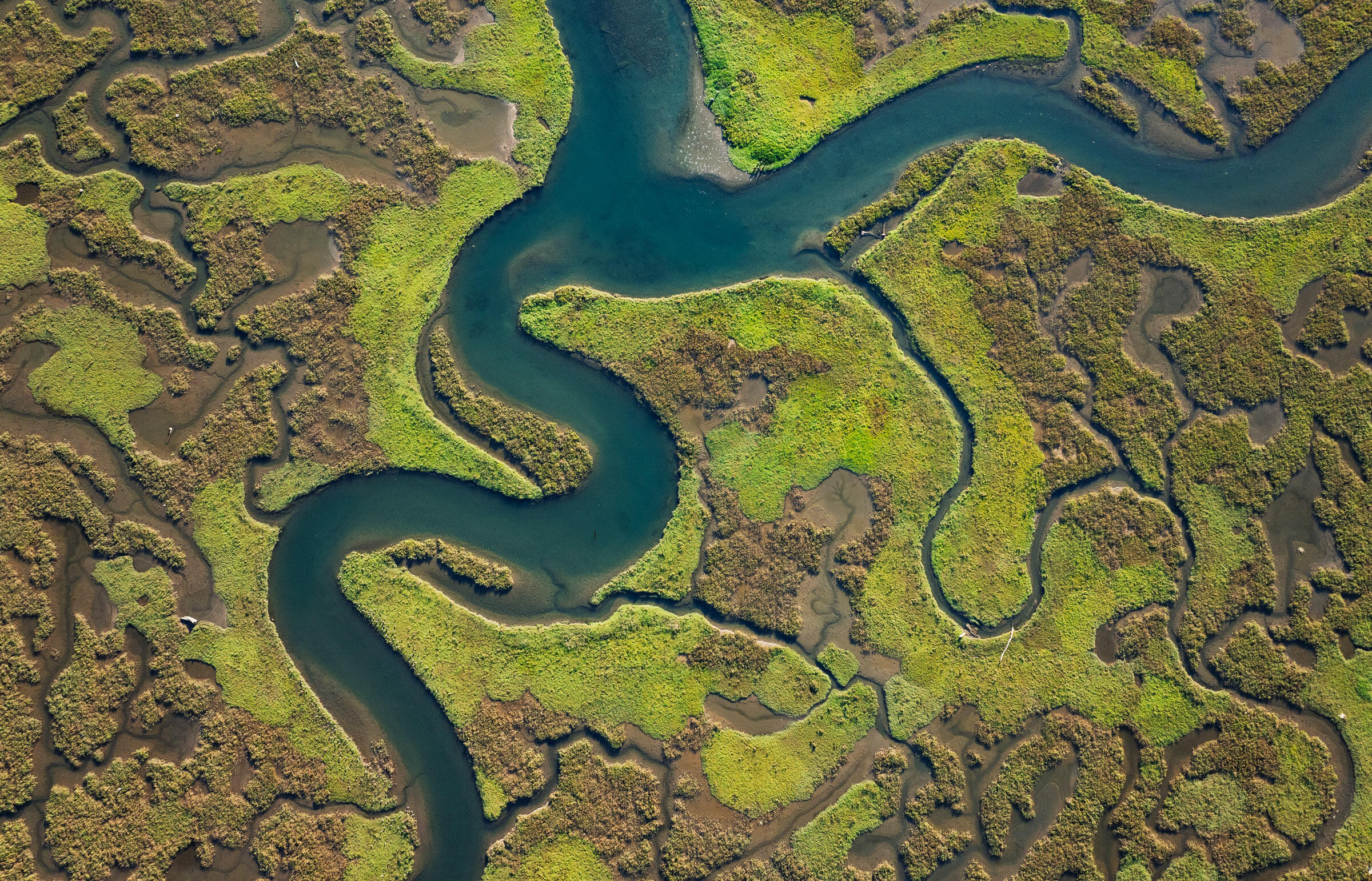 571 Sand Point Road Carpinteria, CA 93013 - Photo 20 of 49 view of a swimming pool