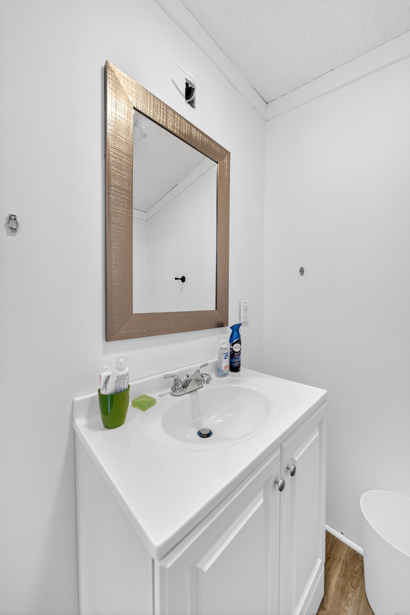 2600 Round Hill Road Lewisburg, TN 37091 - Photo 32 of 100 a bathroom with a sink and a mirror