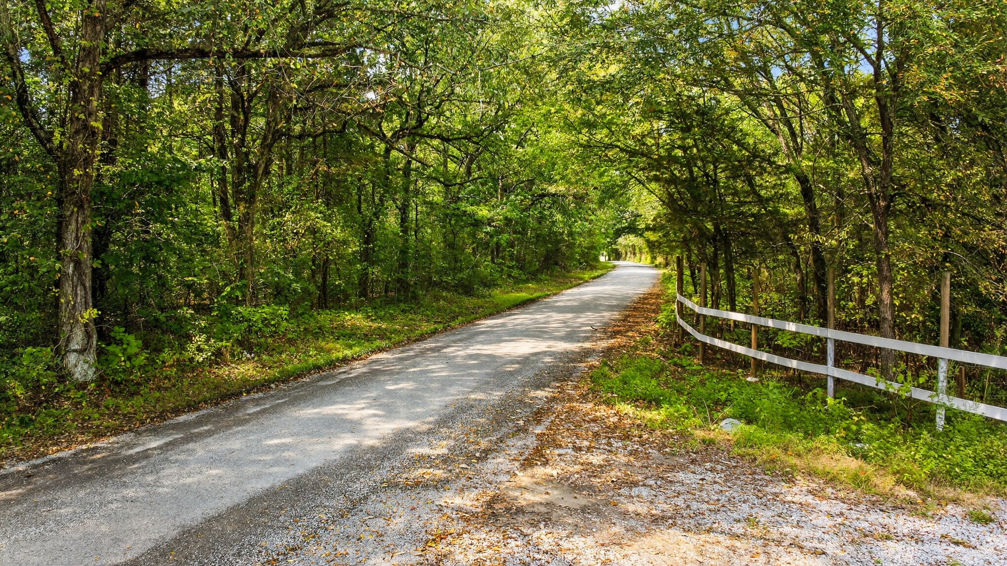 2600 Round Hill Road Lewisburg, TN 37091 - Photo 4 of 100