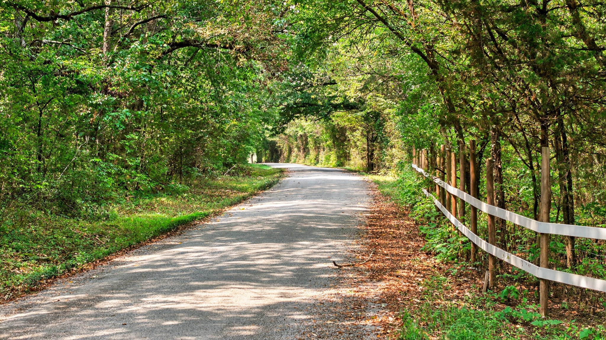 2600 Round Hill Road Lewisburg, TN 37091 - Photo 5 of 100 a view of a pathway of a park with large trees