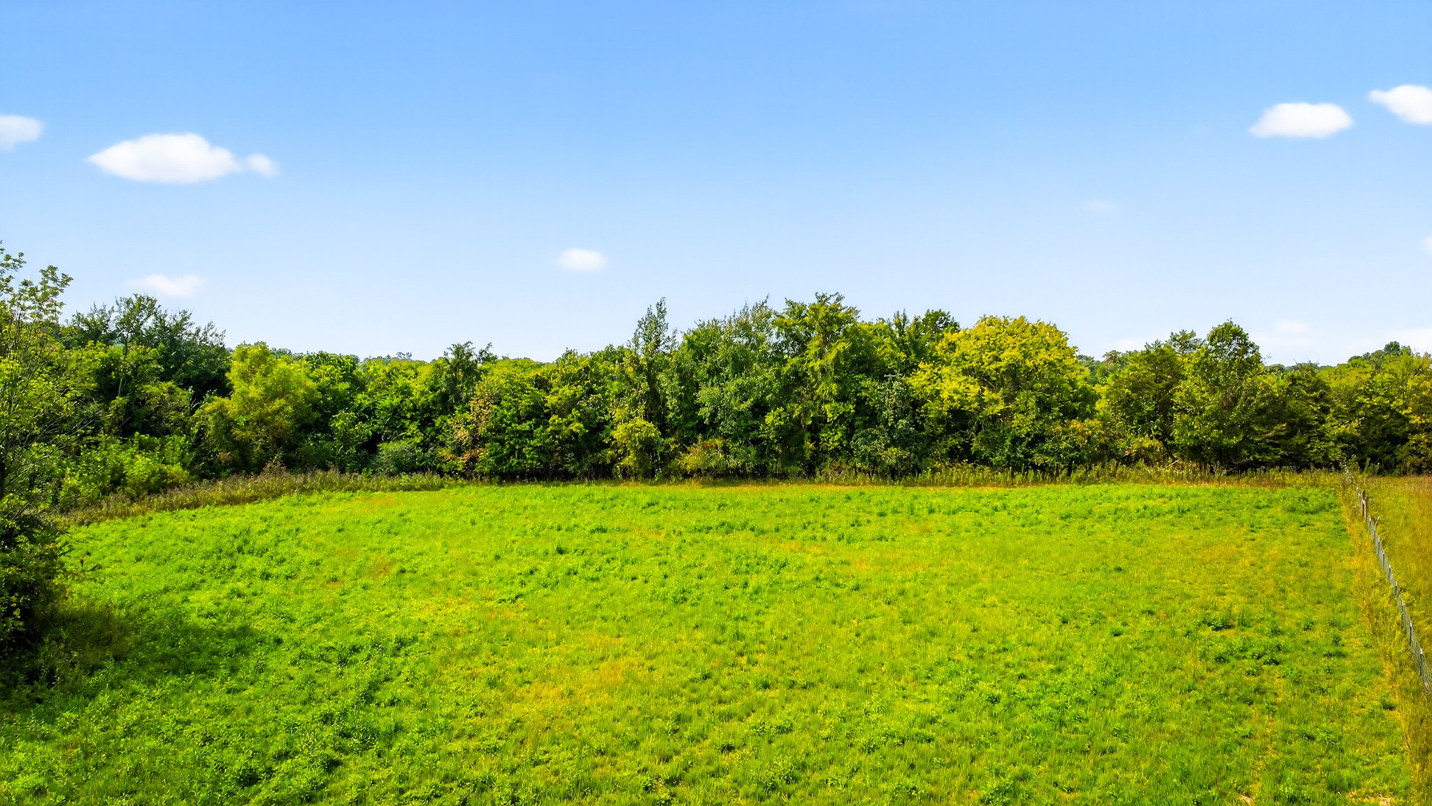 2600 Round Hill Road Lewisburg, TN 37091 - Photo 86 of 100 a view of a big yard with plants and large trees