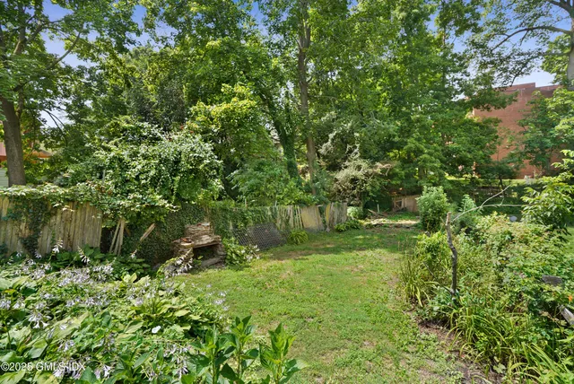 a view of a backyard with potted plants and large trees