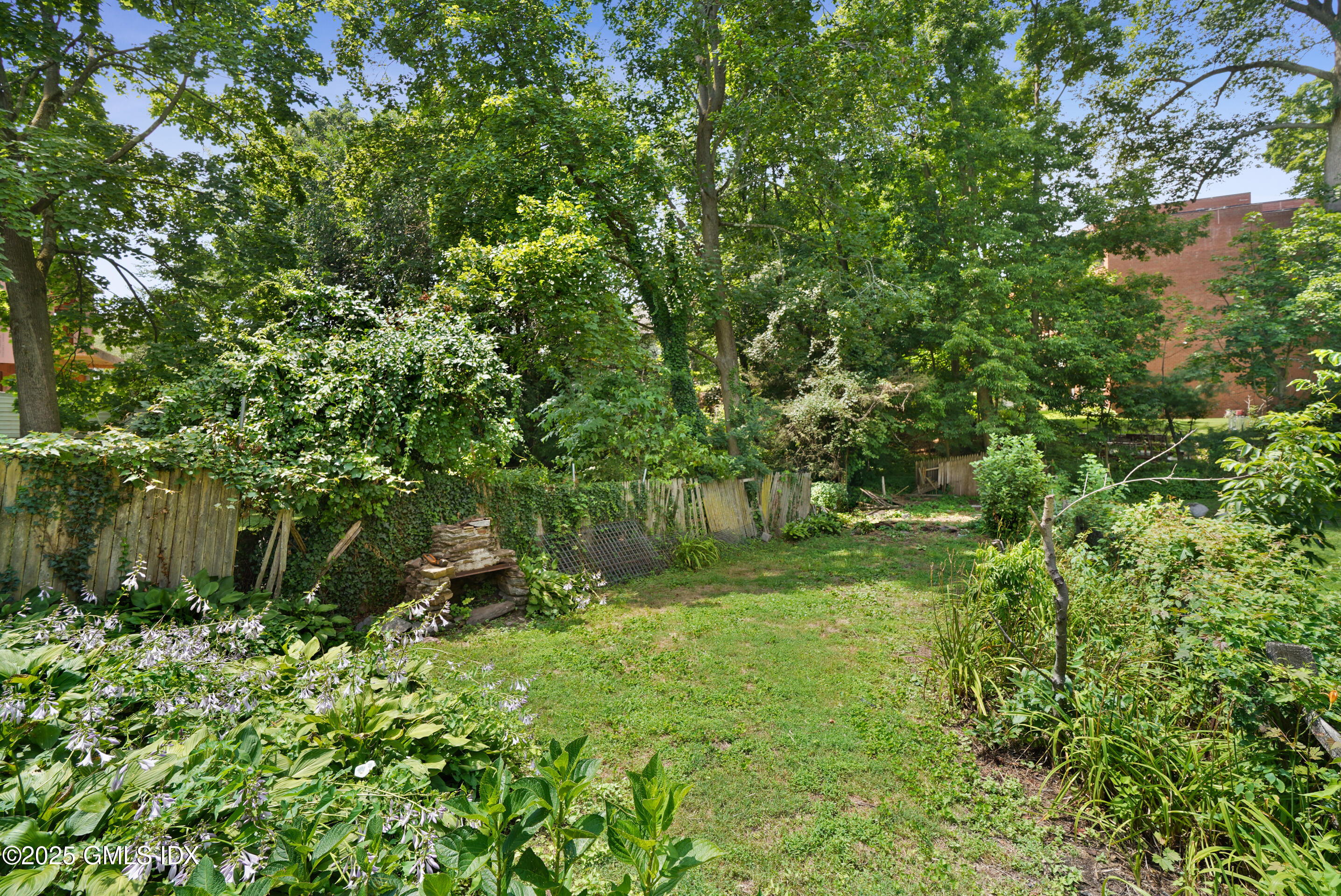 52 Locust Street Greenwich, CT 06830 - Photo 30 of 35 a lush green forest with lots of trees