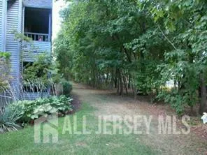 a view of a garden with a bench