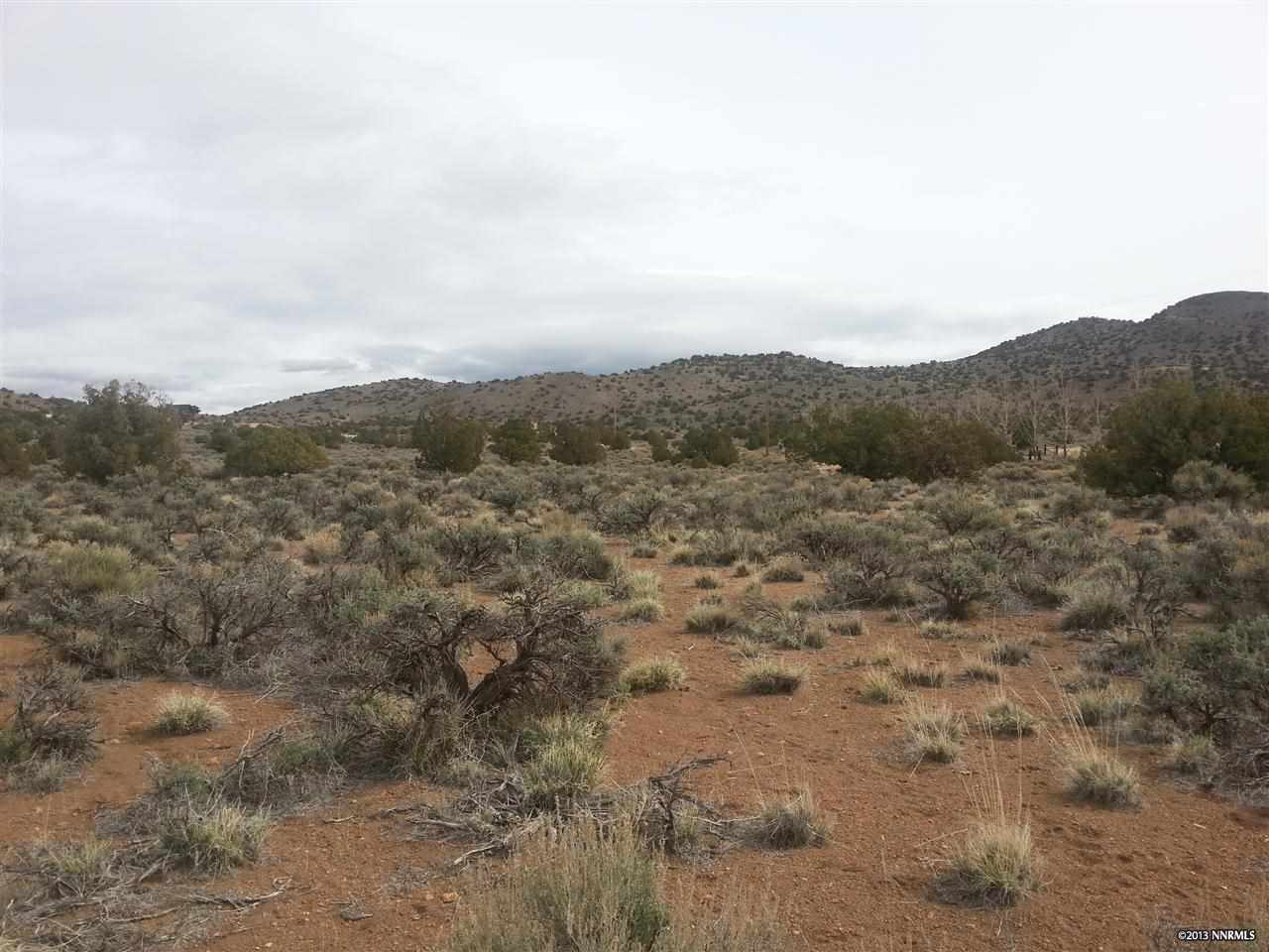 0 Bacon Rind Reno, NV 89510 - Photo 1 of 1 a view of a dry field covered with fog
