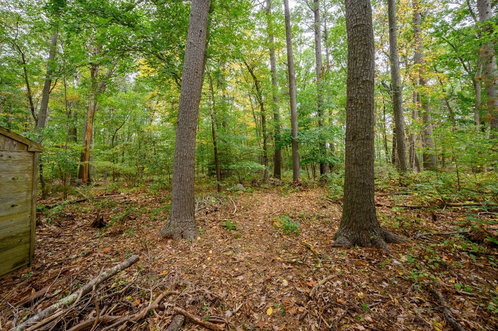 204 Dillingham Way Hanover, MA 02339 - Photo 34 of 36