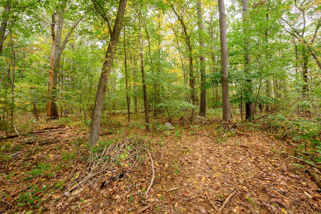 204 Dillingham Way Hanover, MA 02339 - Photo 35 of 36