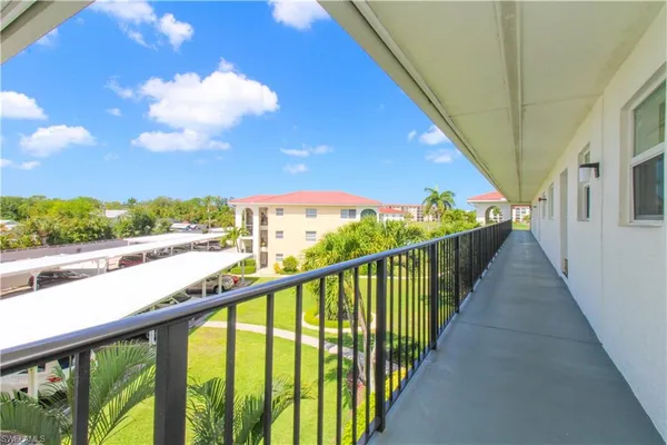 a view of a yard with plants and palm tree