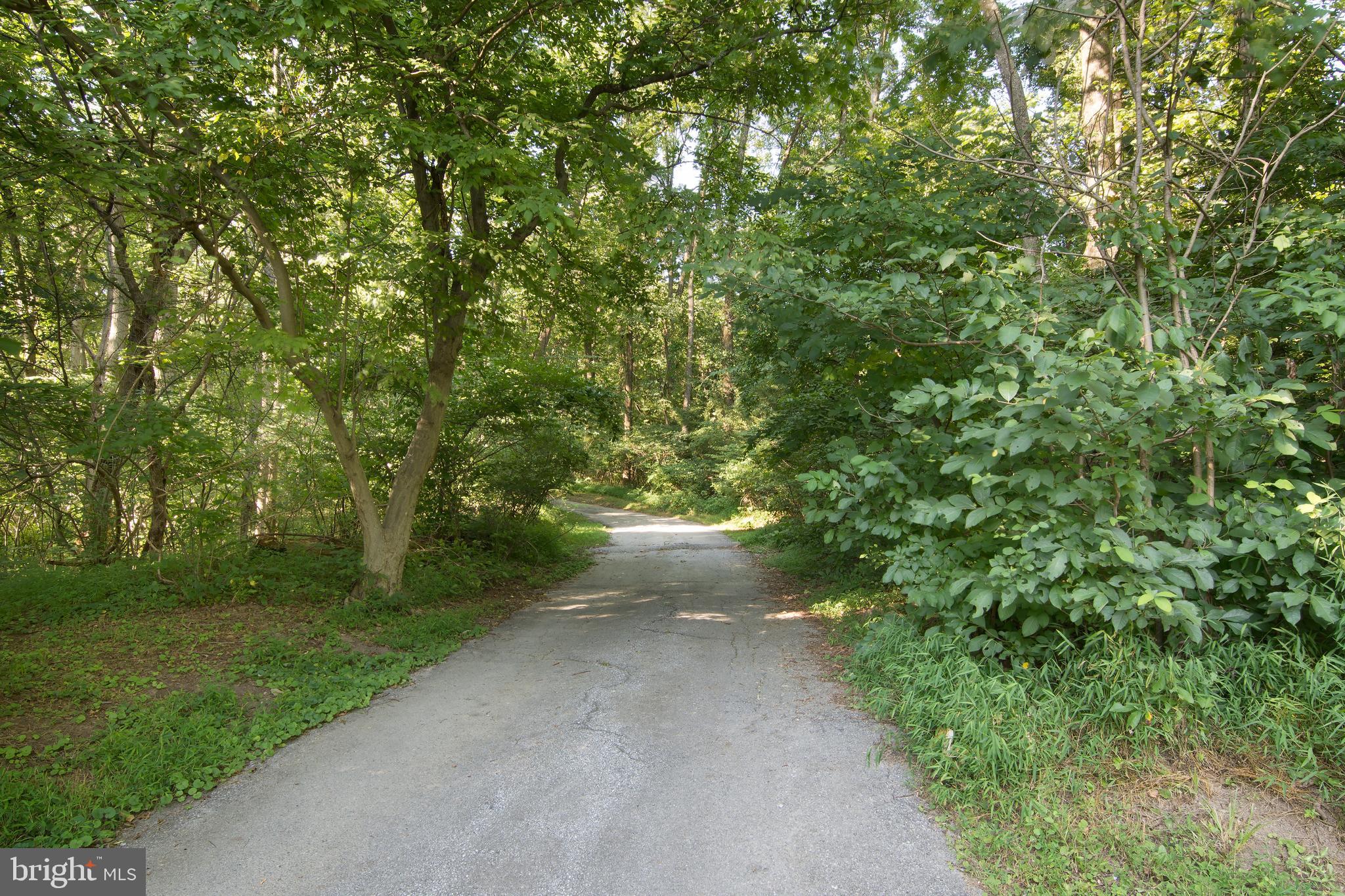 747 Dorlan Mill Road Downingtown, PA 19335 - Photo 6 of 29 Gallery Image 6