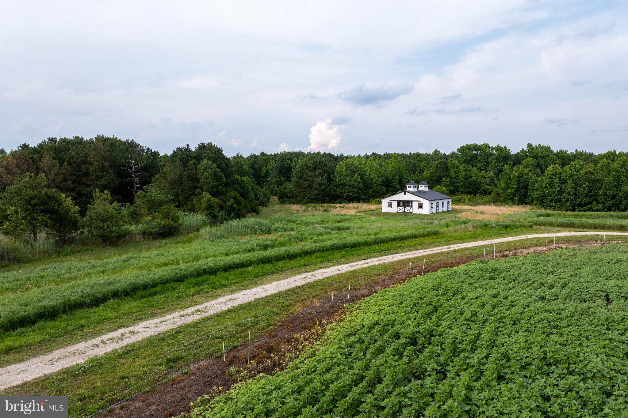 8416 Burbage Road Berlin, MD 21811 - Photo 21 of 70