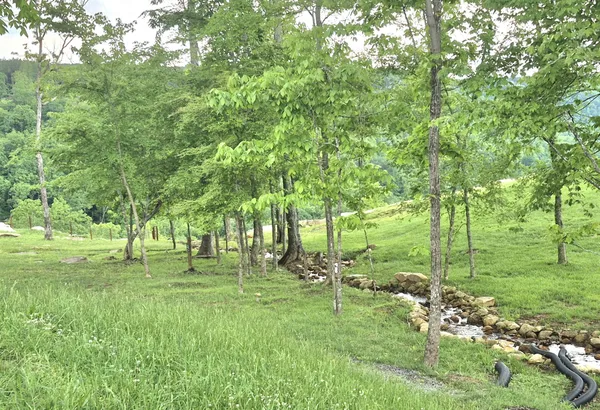 $180,000 | 6070 Raulston Falls Drive, Jasper, TN 37347